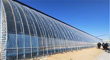 準(zhǔn)格爾旗大路鎮(zhèn)苗家灘社區(qū)項目